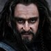 Thorin Avatar