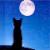 Moonlight Cat Avatar